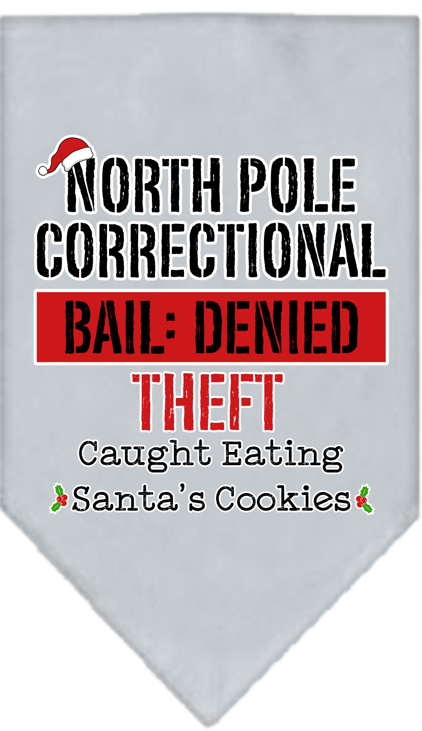 North Pole Correctional Screen Print Bandana Grey Size Large
